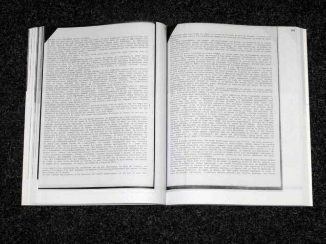 Joëlle Tuerlinckx 2