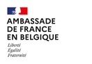 Logo Amb Belgique