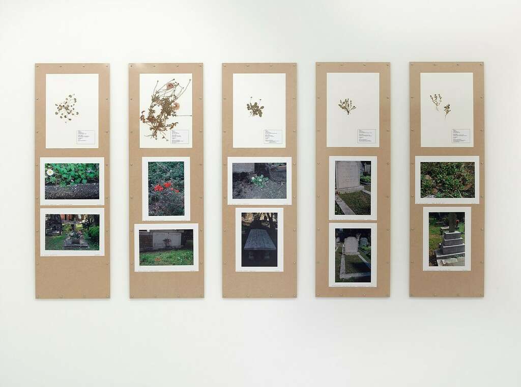 5 Jef Geys San Michele copyright Jef Geys photo Max Mayer