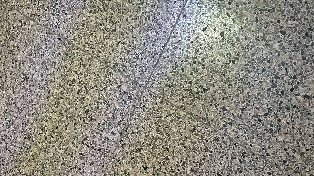 Wiels selys newsletter