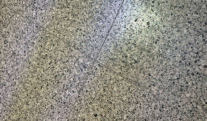 Wiels selys newsletter