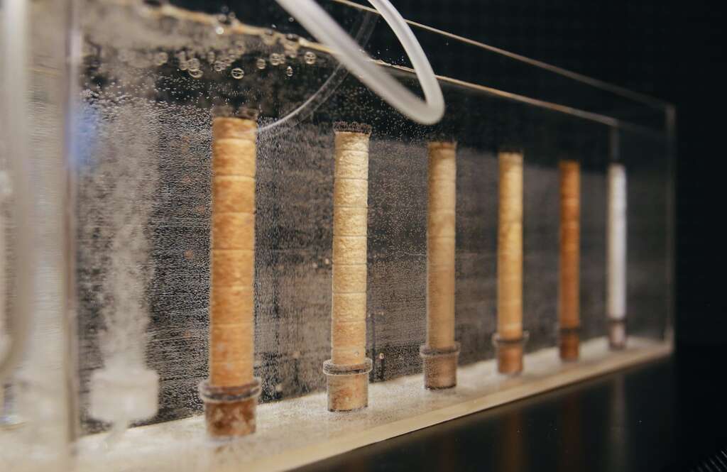 5 Goeun Bae Water philosophy 2020 6 shower filters Beijing tap water Acrylic Cylinder480 x120x180mm U air refiner oxygen pump set