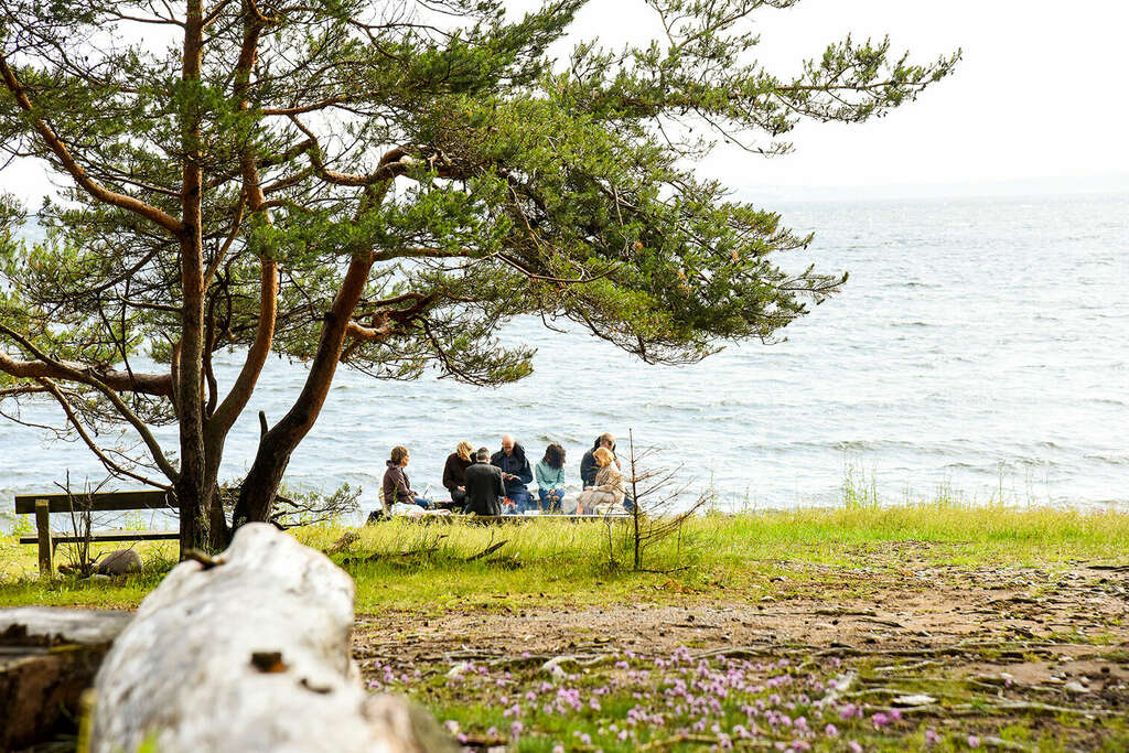 03 Momentum 2019 web