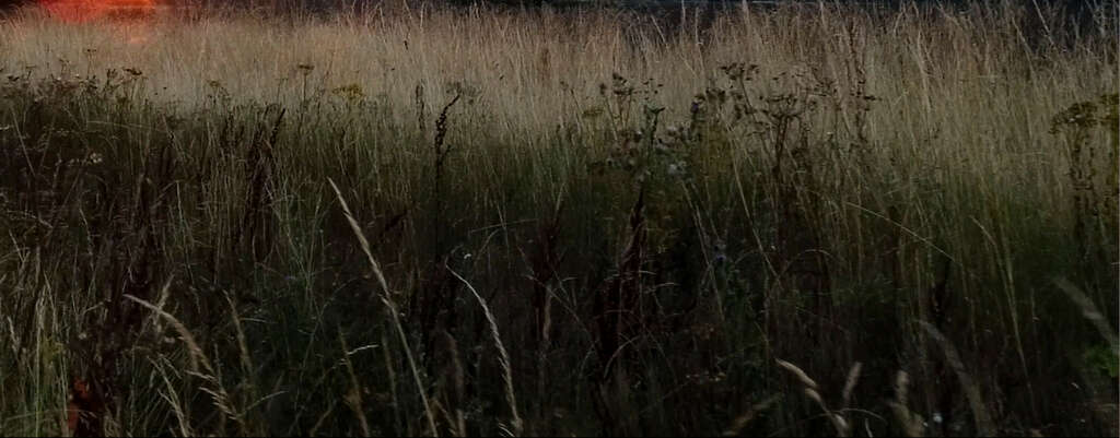 04 17 Days 2023 video still