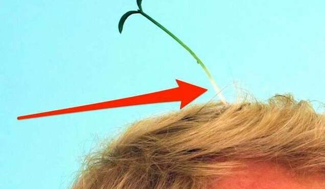 Lecture Glen Rubsamen EN