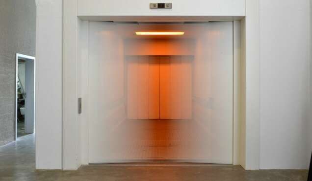 Charlotte vander Borght Fly Trap