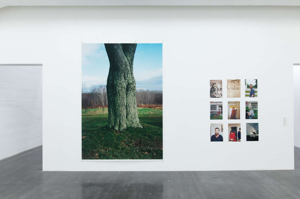 Amazon.com: Wolfgang Tillmans: Today Is the First Day