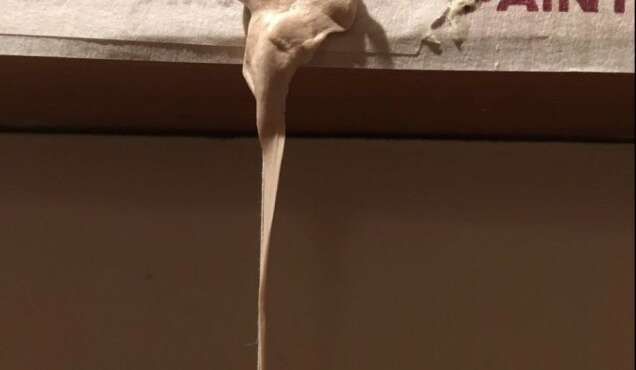 Dana Munro Made in Decision