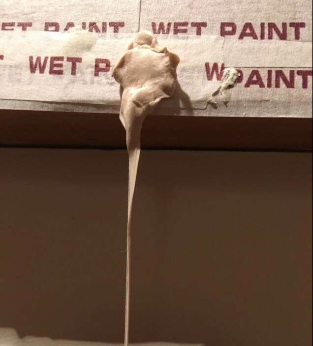 Dana Munro Made in Decision