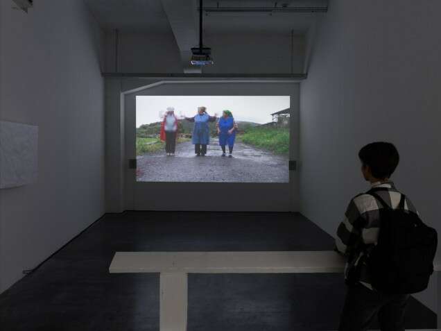 Lucia Nimcova And the last to profit is the country rat 1