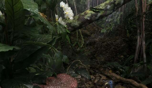 Lancement Médor No 8