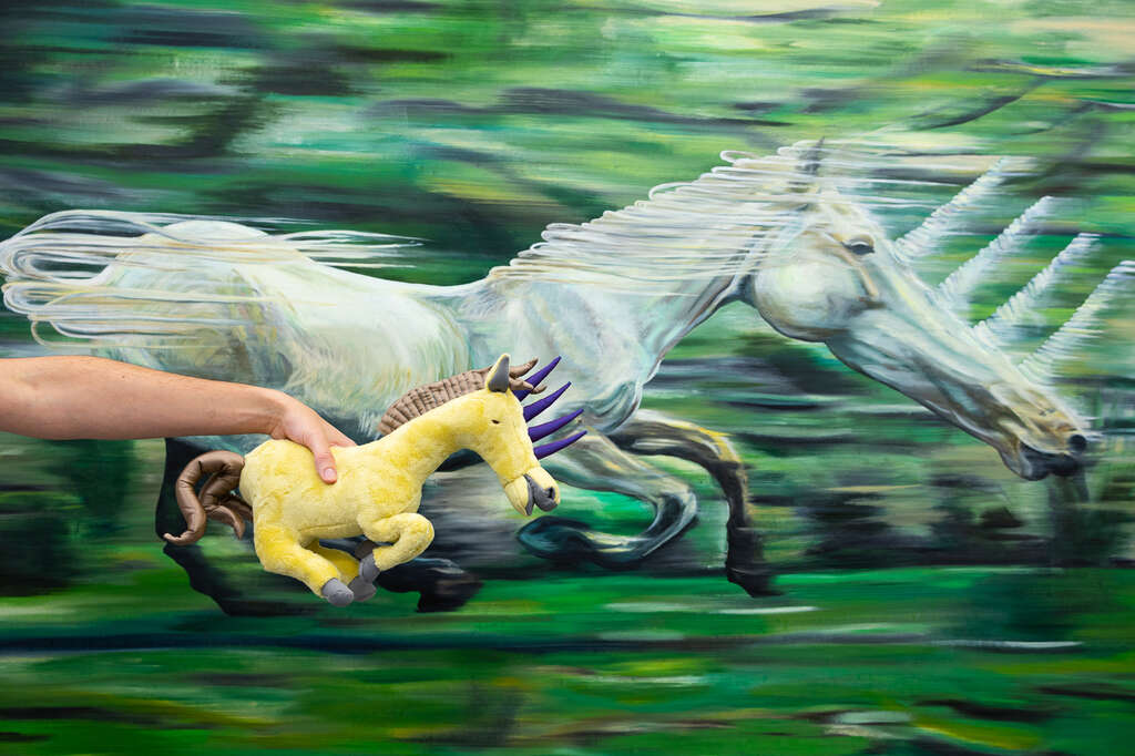 Wiels Jana Euler low 11