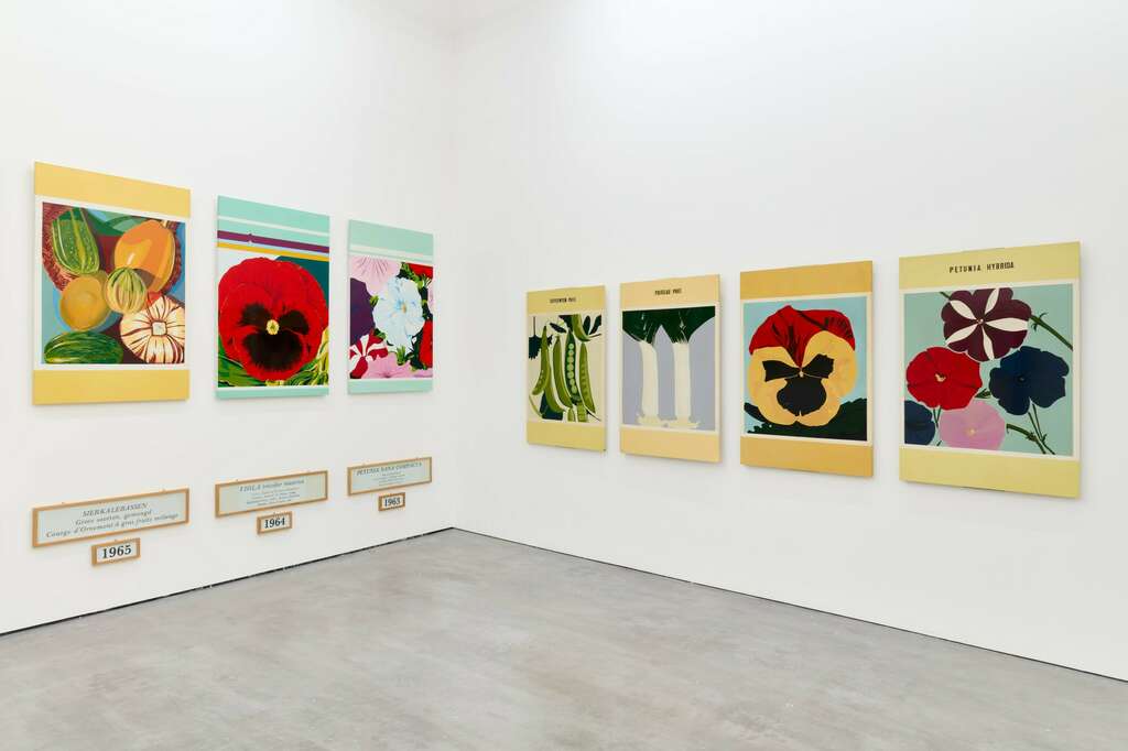 Installation view Jef Geys You dont see what you think you see WIELS Brussels 2024 Photo We Document Art 2 jpg min