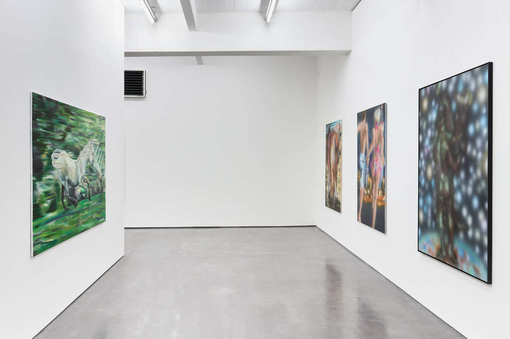 20240619 WIELS2527 web