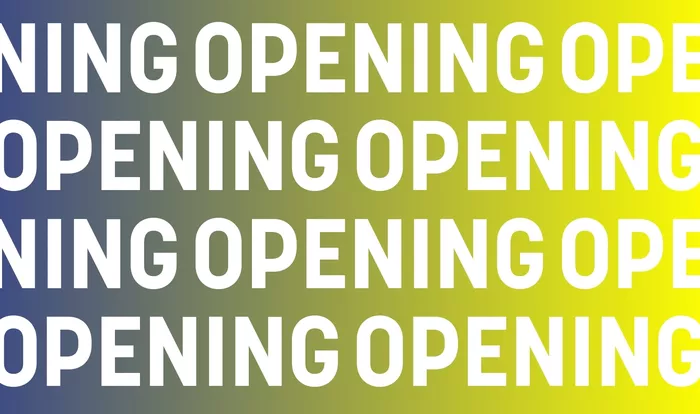 OPENING template website