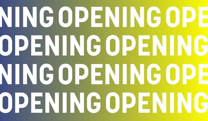 OPENING template website