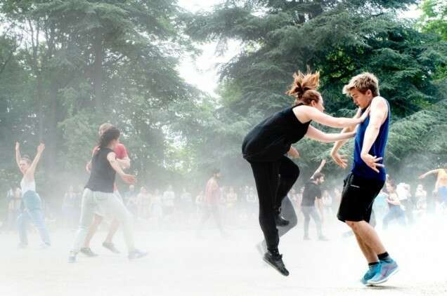 Super Vlieg Super Mouche 3