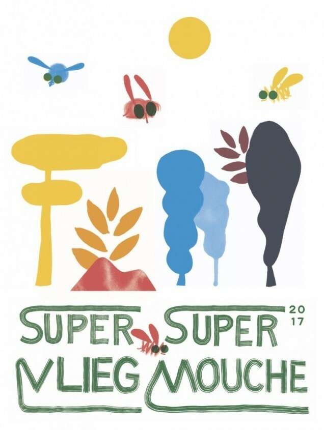 Super Vlieg Super Mouche 1