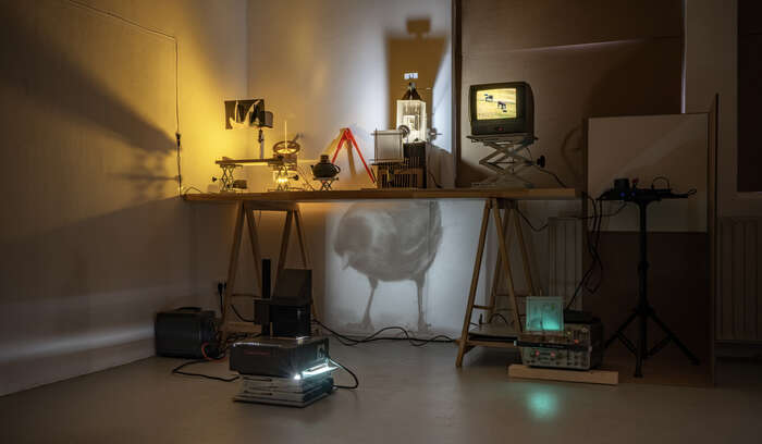 Model I zoo architecture 2024 Photo by Sander van Wettum copyright Jackie Karuti