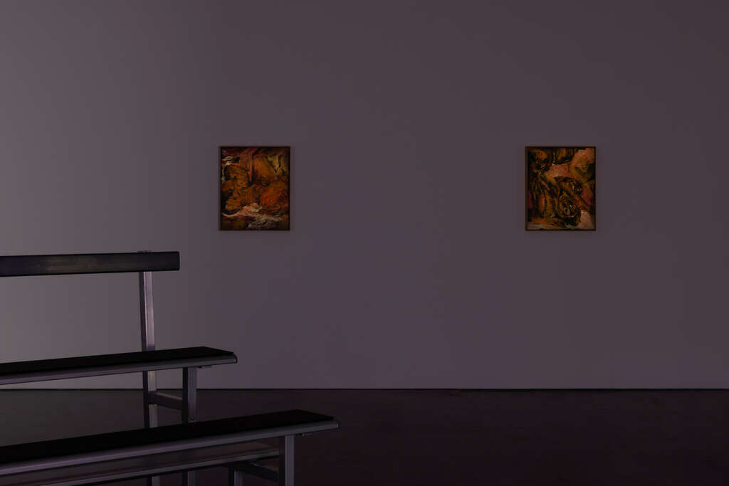 5 Kulendran Thomas WIELS Centre for Contemporary Art Brussels 2024 Safe Zone