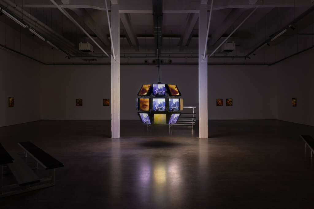 3 Kulendran Thomas WIELS Centre for Contemporary Art Brussels 2024 Safe Zone