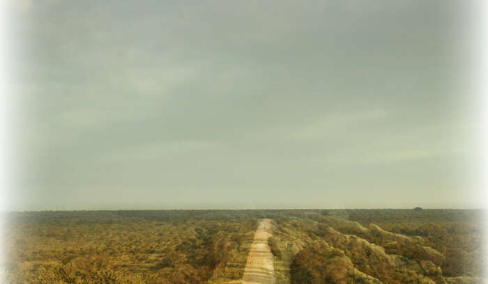 Poster Beeld High Res