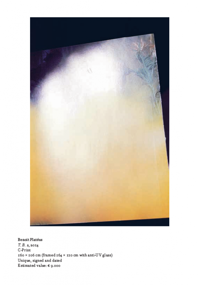 Benefit Gala Dinner Auction 13