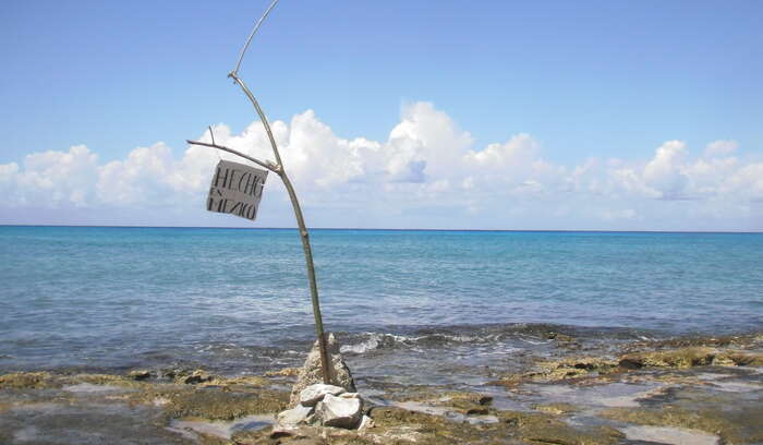 66872831af0d6a562de4f197 MW PNZ F 389 01 05 hr