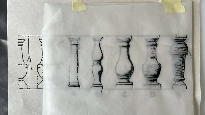 01 Bellies 6 Hitchcock horizontal