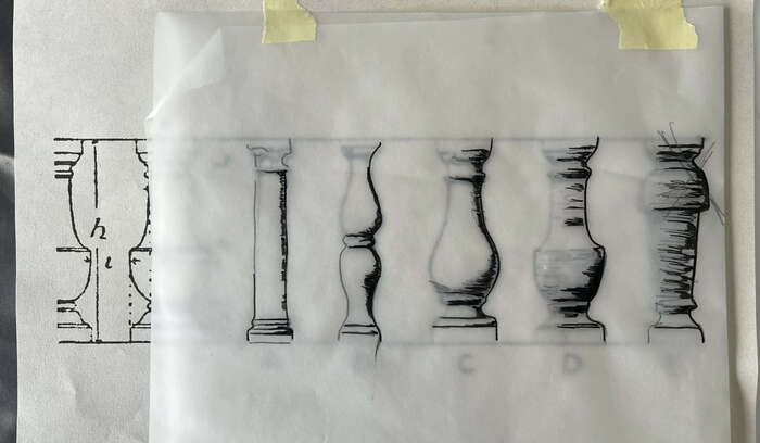 01 Bellies 6 Hitchcock horizontal