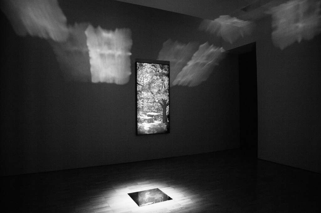 Tanja Garden Exile2019 Kumu photo Tanja Muravskaja 2