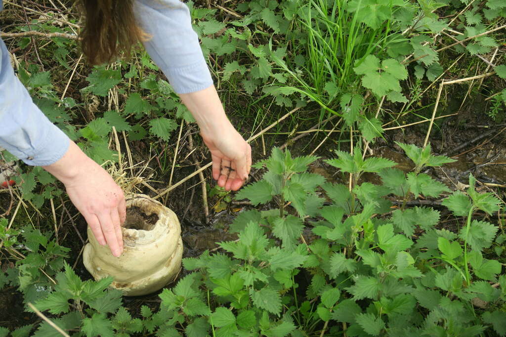 Rivervessel naturalcontractlab