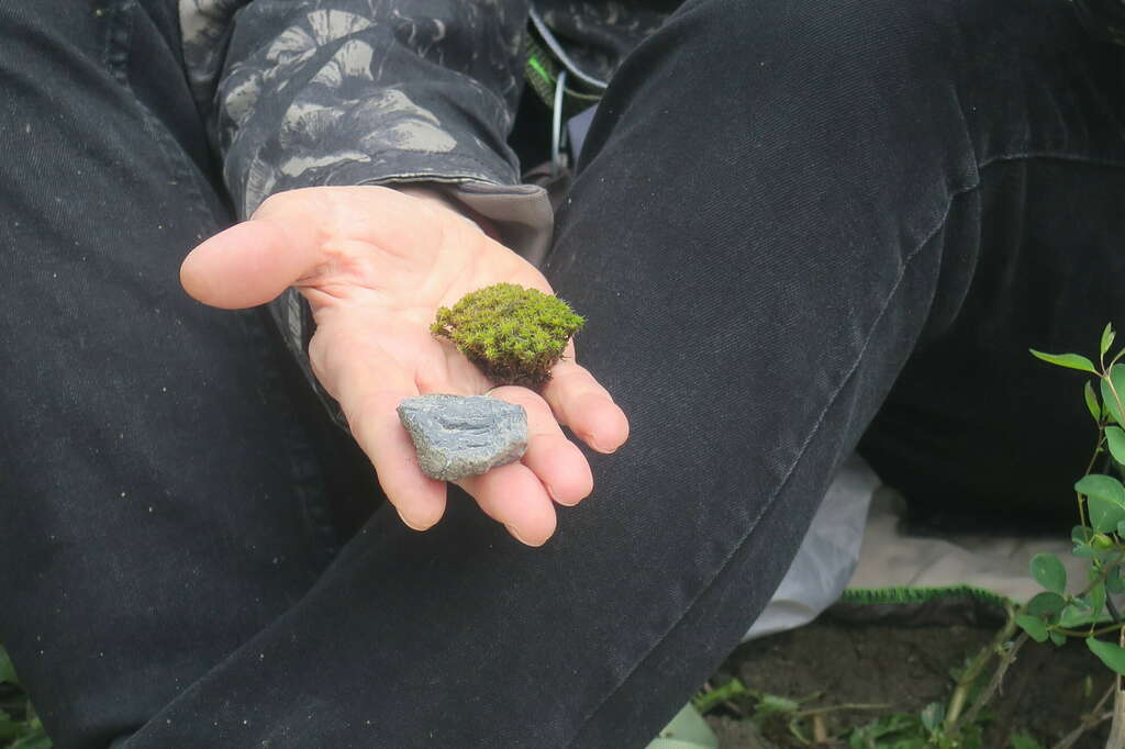 Fabulativestortytelling Naturalcontractlab