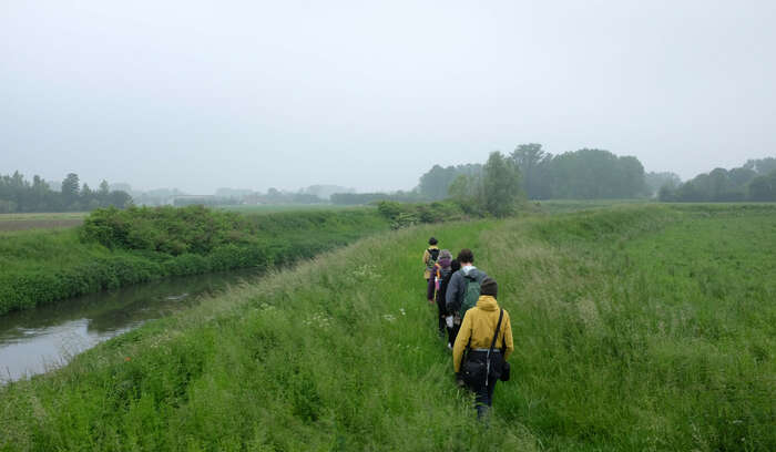 Walking with Naturalcontractlab 1 2