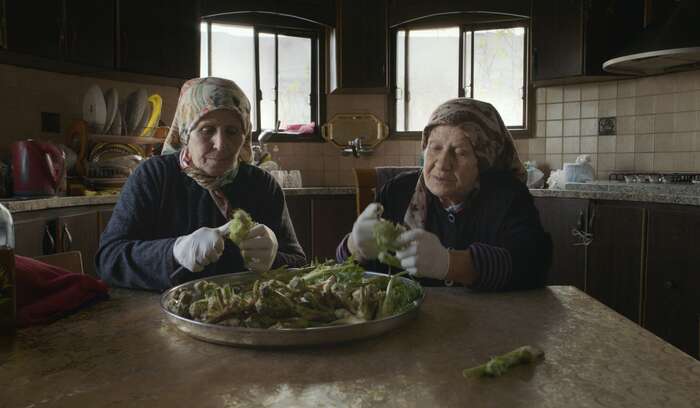 Foragers JM akkoub cleaning