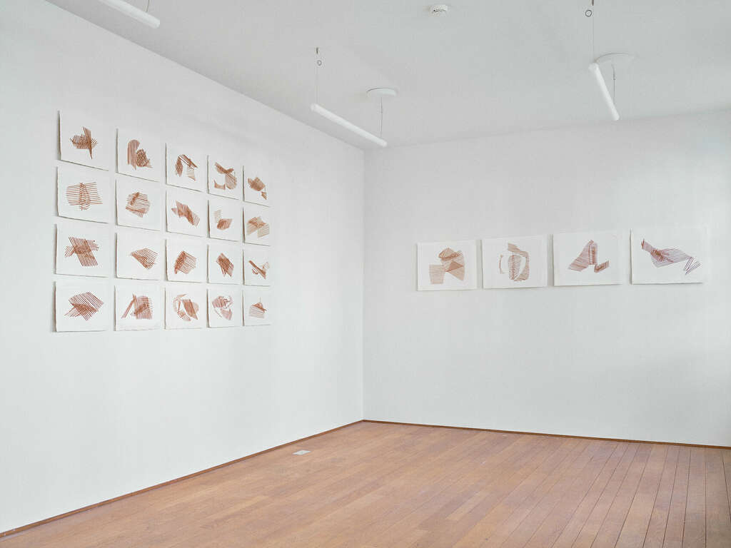 Hanane El Farissi Skins Scars 2025