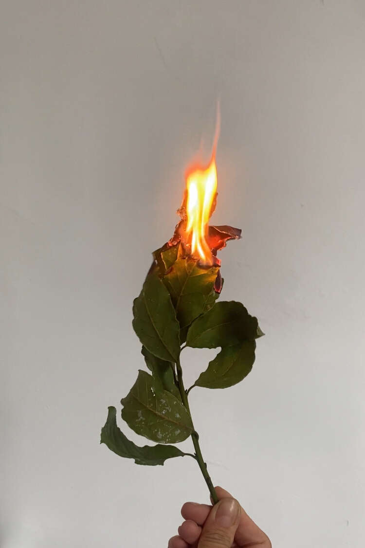 Soft Burn Promo
