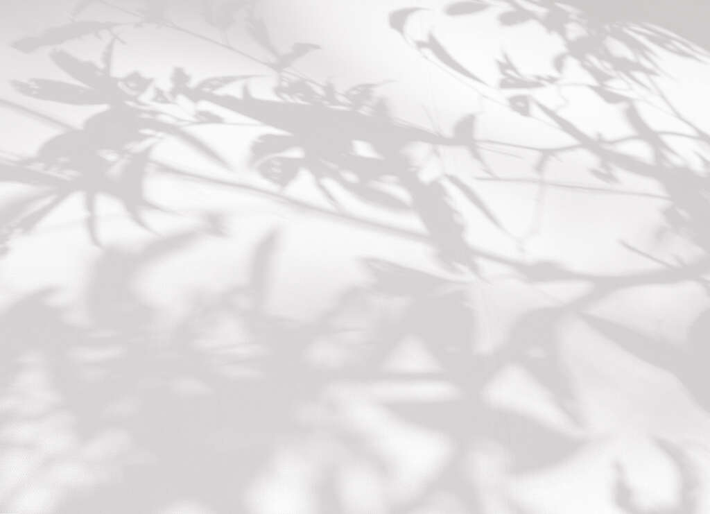 Nancy La Rosa Affiliate horizontal