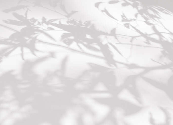 Nancy La Rosa Affiliate horizontal