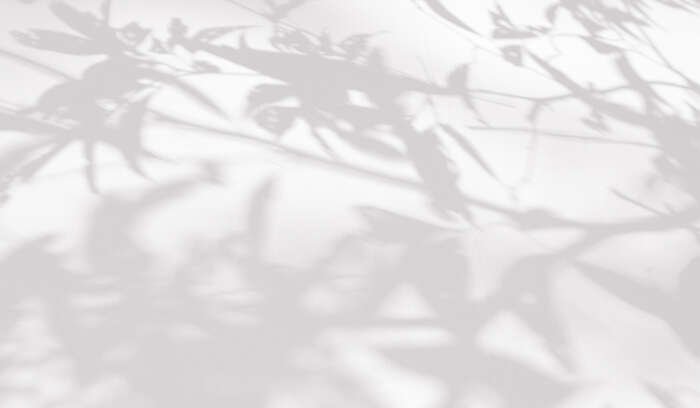 Nancy La Rosa Affiliate horizontal