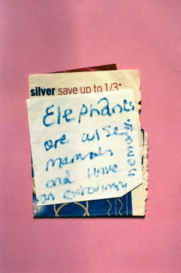 Chloë Delanghe Reasons to Be Cheerful 3