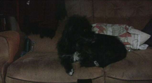 Chloë Delanghe Reasons to Be Cheerful 6