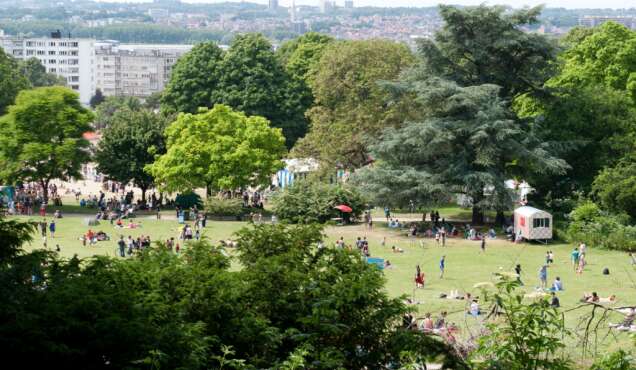 Super Vlieg Super Mouche