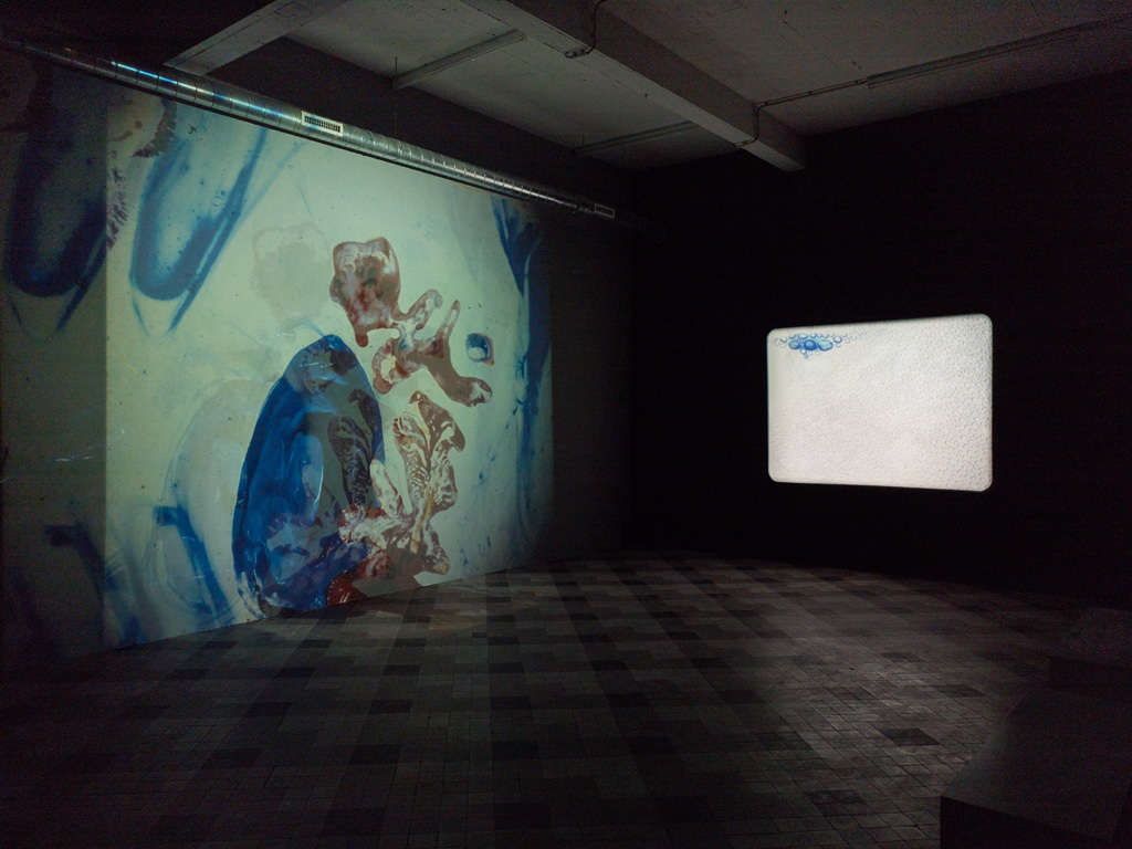 WIELS Ellen Gallagher lowres 027