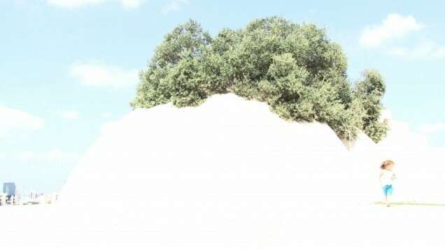 Sirah Foighel Brutmann and Eitan Efrat 1