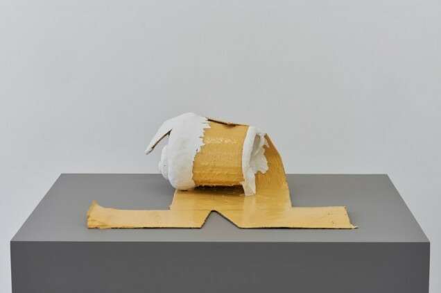 Charlotte vander Borght 2