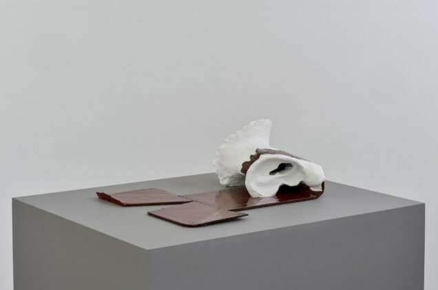 Charlotte vander Borght 3