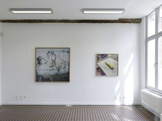 Atopolis WIELS MONS2015 9