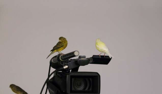 Présentation des artistes en résidence