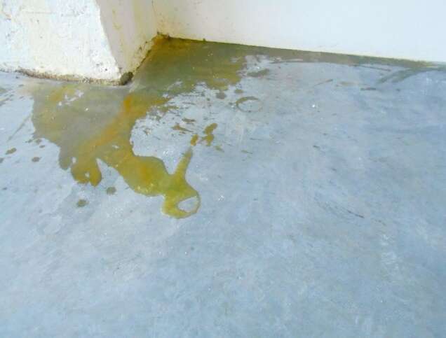 Megan Marrin Elif Erkan ME I like your backpack 17